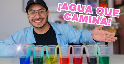 El agua que camina miniatura